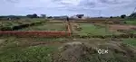 Free litigation land