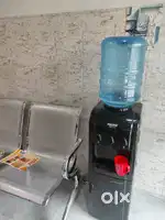 Receptionist cum assistant