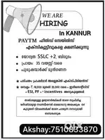 Field sales executive
