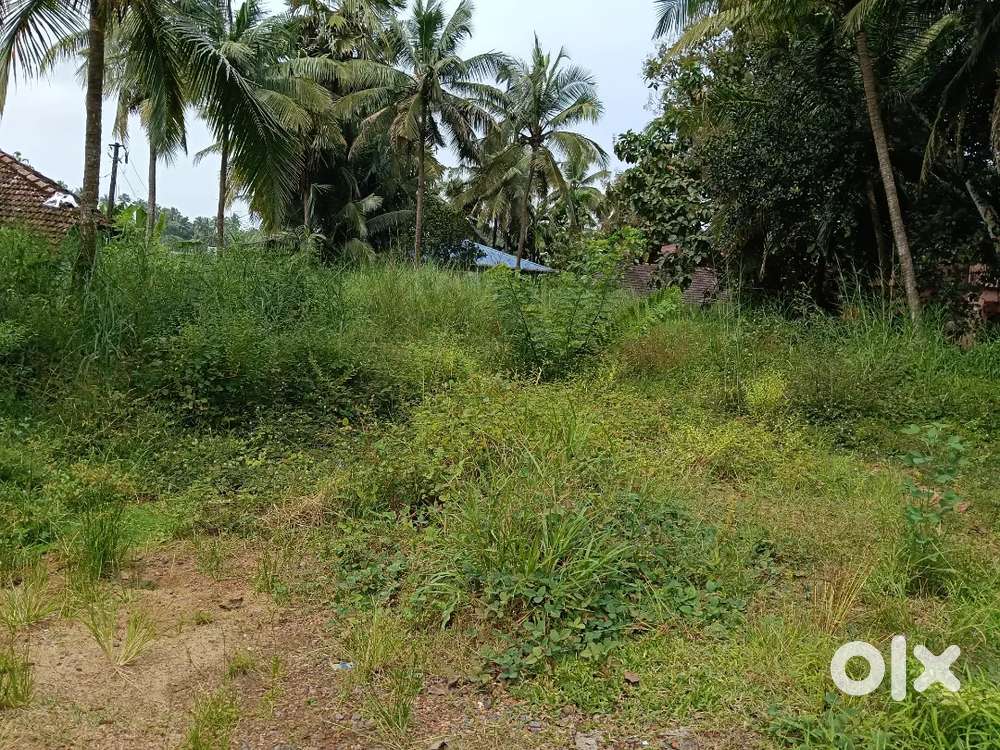 5Cents Residential Plot for sale at Kadri Mangalore.