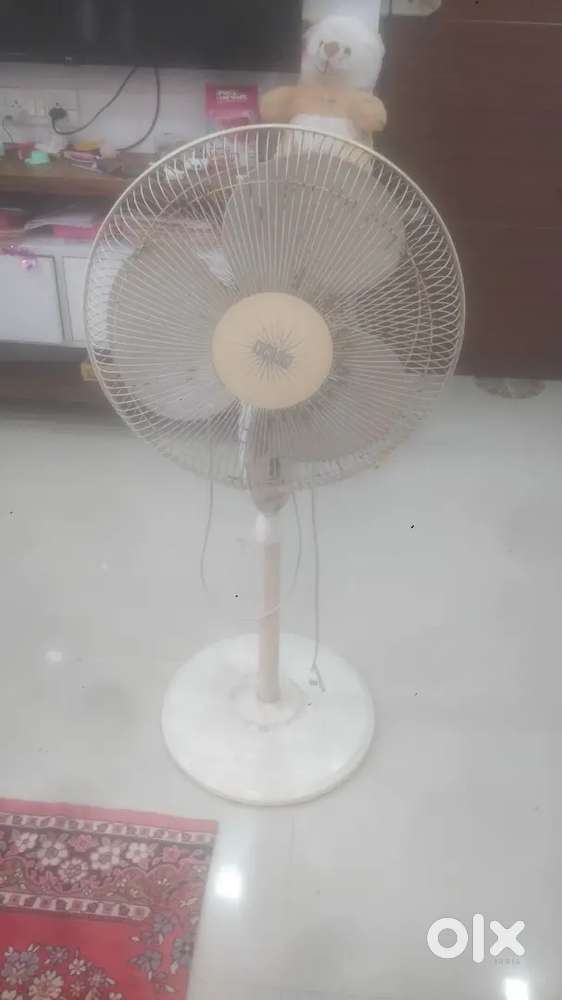 Usha brand padesterian fan