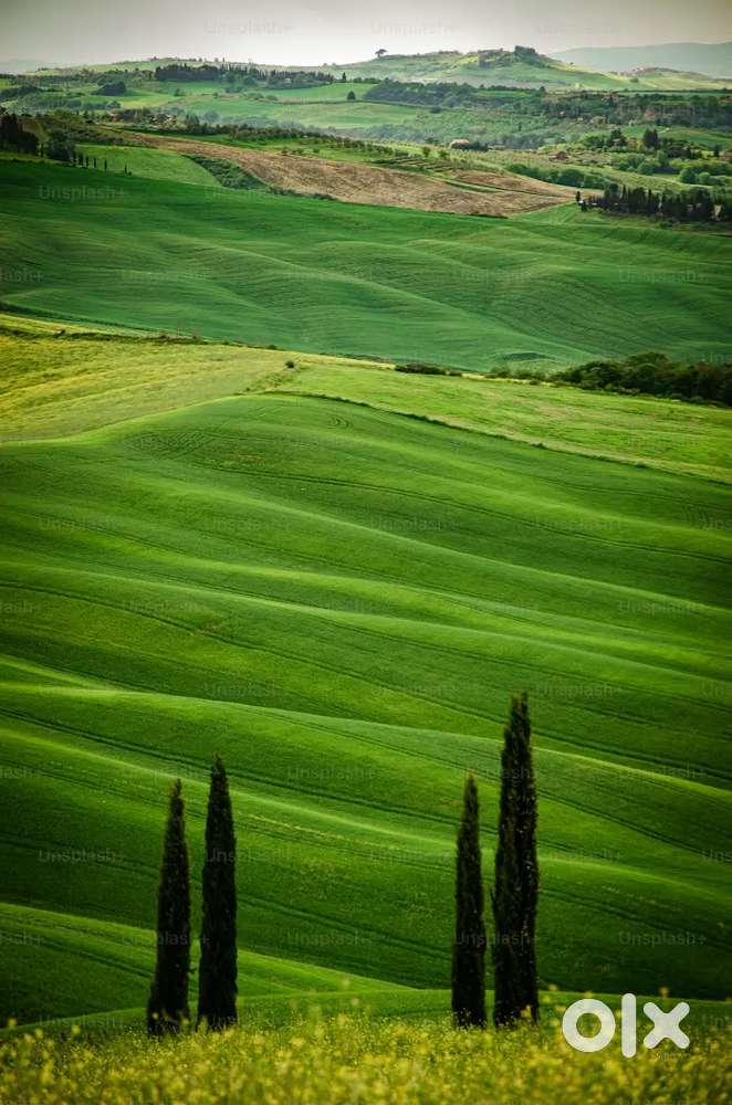 Data entry and browsering