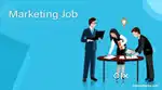 Qamts company it marketing job