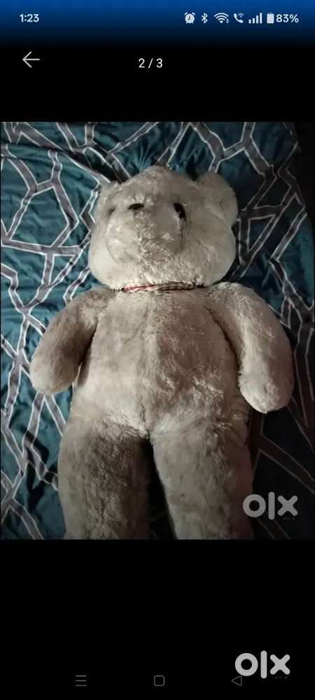 3 Feet high teddy in excellent condition