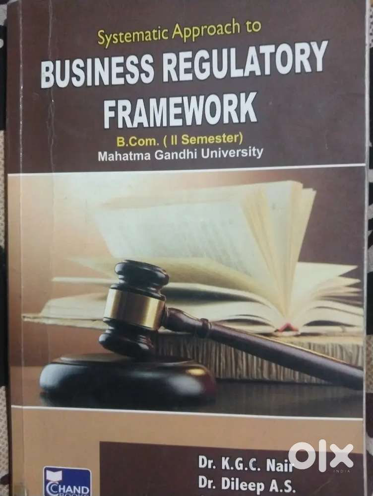 Business regulatory framework