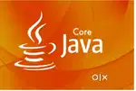 Automation Testing - Manual, Selenium, Java & SQL  ( 8000 Only)