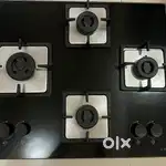 Elica 4 Burner Gas Stove at Best Price