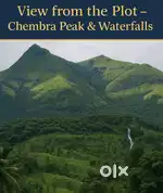 19 cents plot with scenic view Chembra hills/water falls/ tea estate