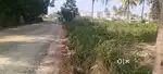 15000sqft land for rent