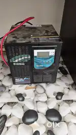 Genus Surja pro 3200