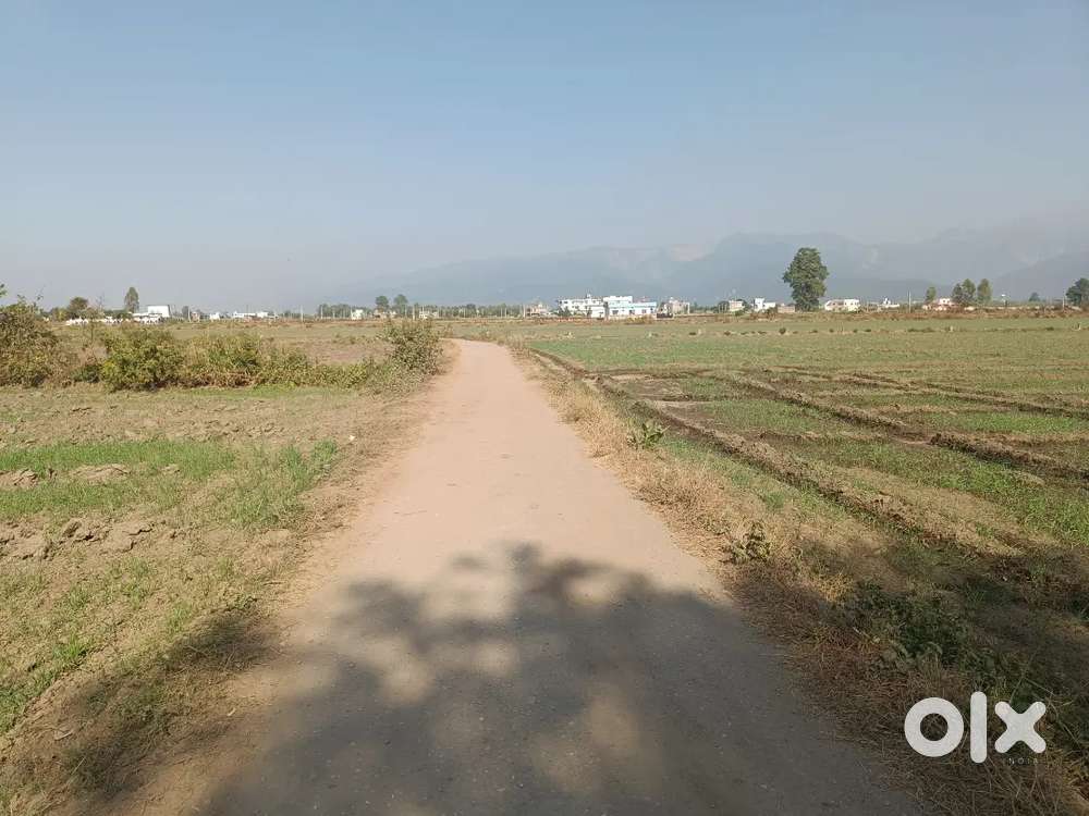 4 bhigha land for sale