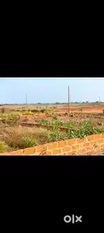 Aiims hospital back site Bhubaneswar