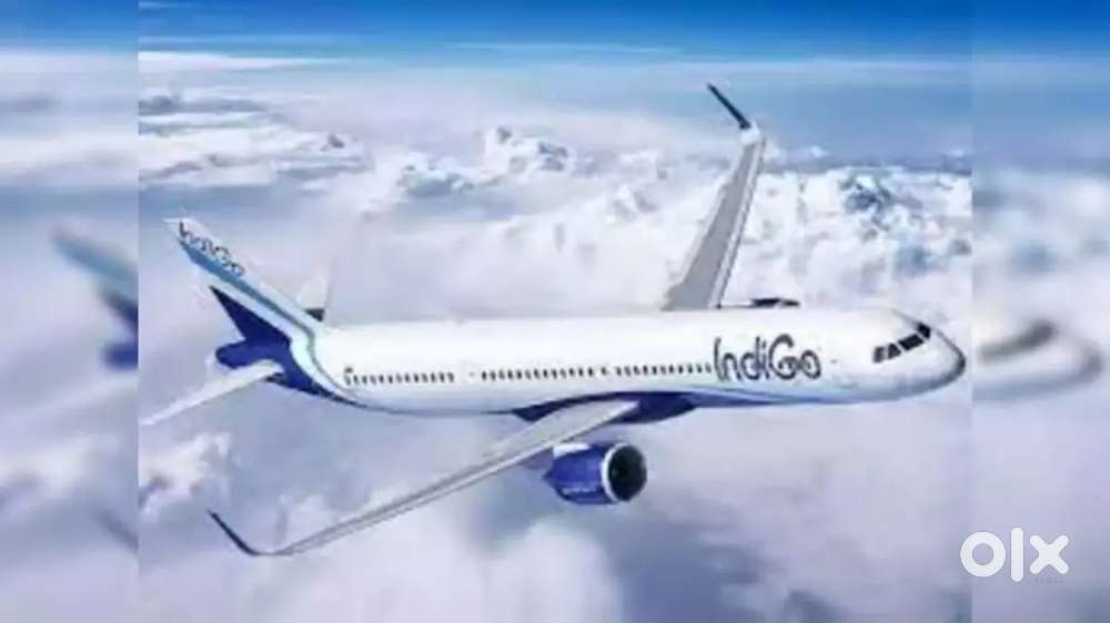 AIRPORT VACANCY IN INDIGO AIRLINES! INDIGO Airlines Job Opened