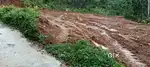 Pallickathod.10 cent house plot. 55000 Rs. Cent.
