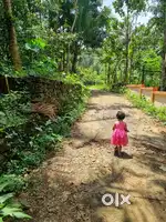 Two residential plots for sale