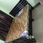 New luxury model Queen size with out storage cot at affordable price