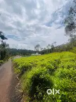 മെയിൻ റോഡിൽ നിന്നും 100 മീറ്റർ മാത്രം ദൂരത്തിൽ  16  സെന്റ് സ്ഥലം