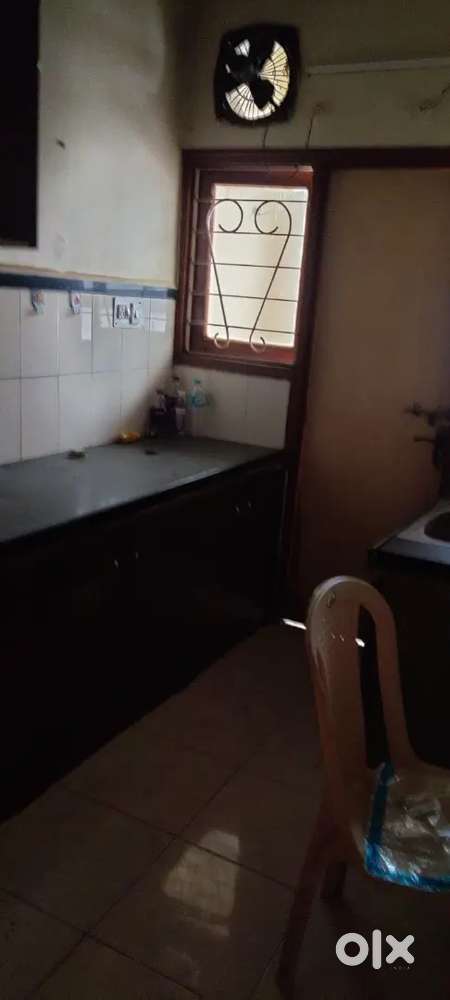 1bhk flat for rent in old palasia