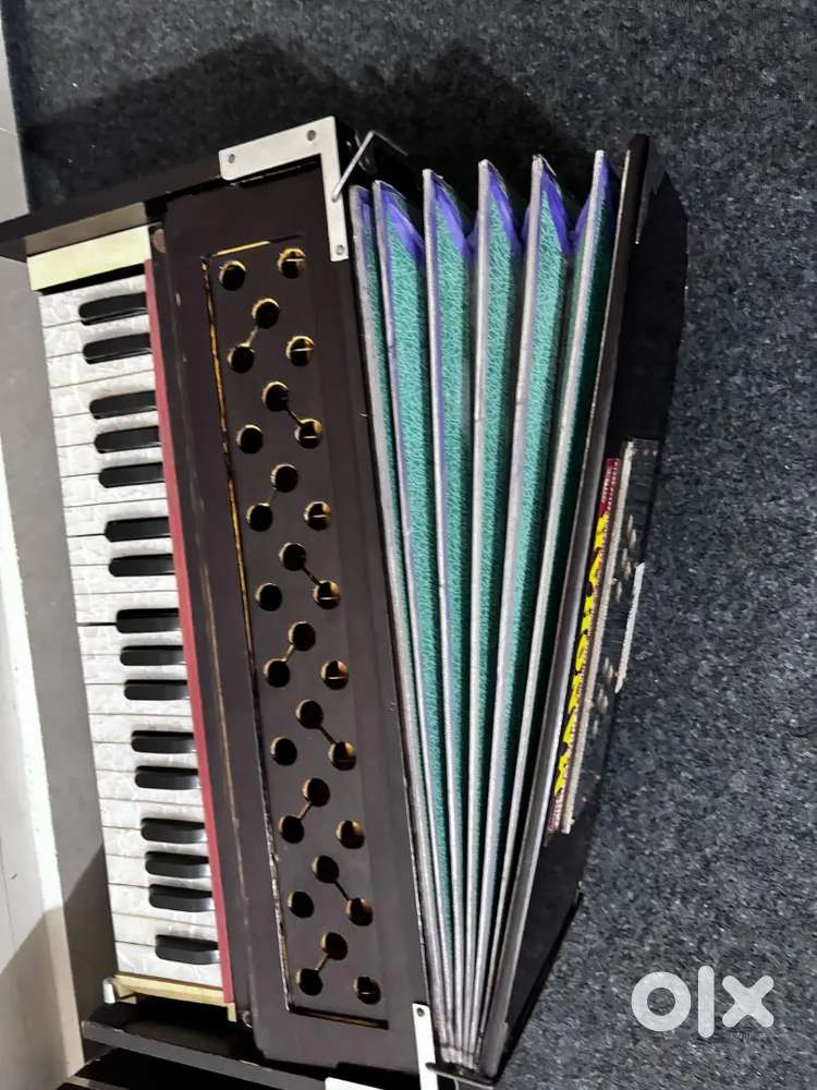 Best Harmonium bass male