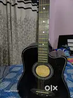 Acoustic Guitar
