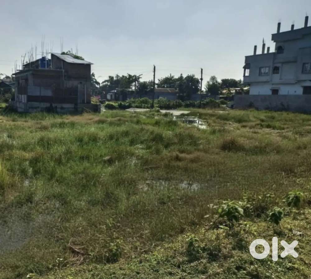 Residential plots near by ashighar road telipara