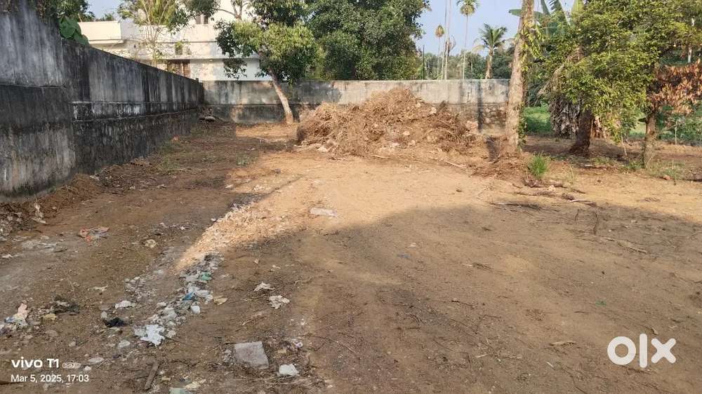 2 cent btr paramb plot near Rajagiri hospital aluva