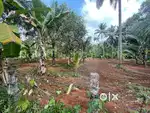 Suitable for Farming/ Projects