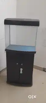 Fish tank and furniture