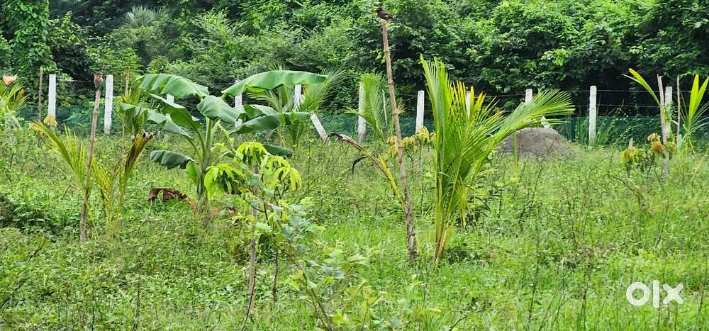 Farm house plots just 4.5 km from the 4 lane Araku Road