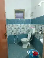 Looking for roommates (Male/Female)