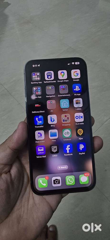 13 Pro Max 256Gb
