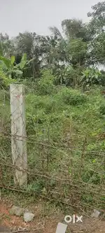 Land for Lease at Kulamangalam near Thamarai international school