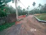 1 Acres of Land near Puliyanam, Angamaly