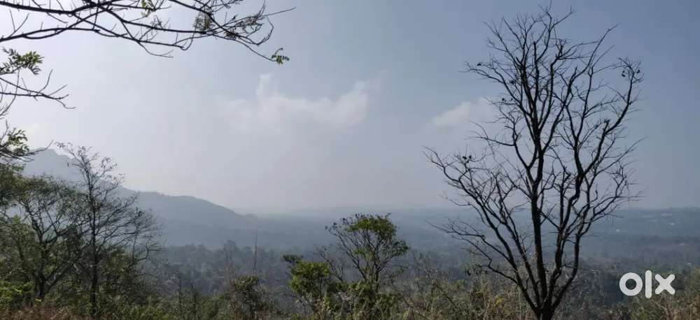29 cent plot with 45mtr length mind-blowing view
