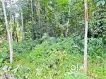 40 scnt land suitable for house