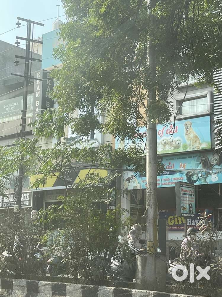 Space For Tution Centre in Main Market