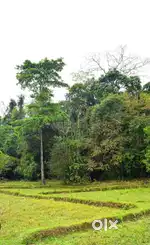 LAND FOR URGENT SALE