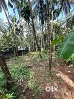 15.5 cent Plot for sale in Changramkulam