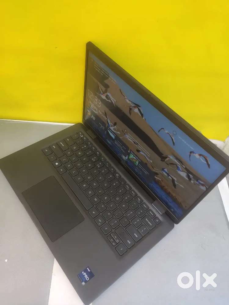 DeLL LaTiTuDe