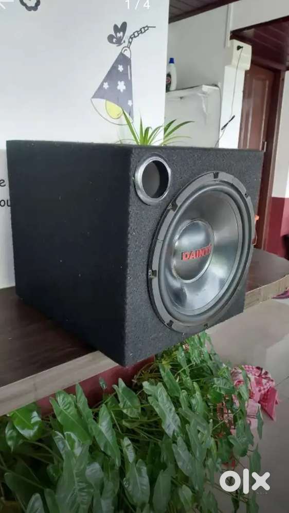 Danity 12inch subwoofer for sale