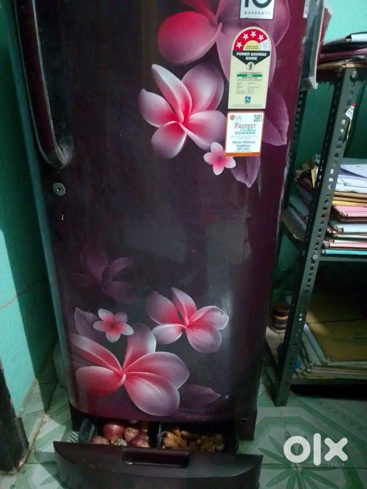 LG Fridge 180 gross litres (4 star rated & 5 years old)