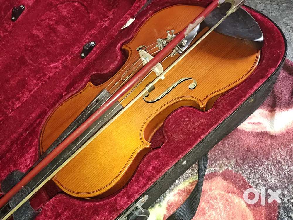 music instrument violin