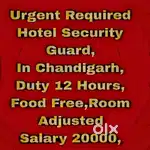 5 Star Hotel Security Guard Job Chandigarh 91