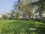 10 Cent Residencial Plot For Sale Vyloppilly Line Kaloor