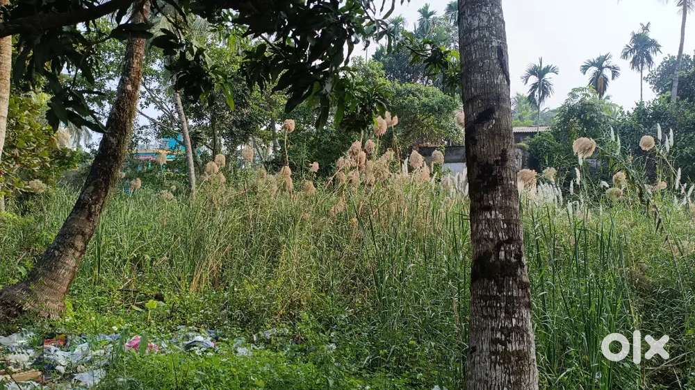 Sonarpur goria main road .rajpur sonar pur aria