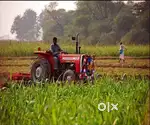 Agriculture land for sale