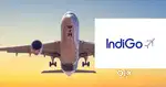 Airport Ground staff jobs in Indigo Airlines urgent hiring Apply Fast
