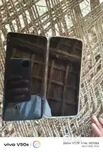 Vivo 2 year old good