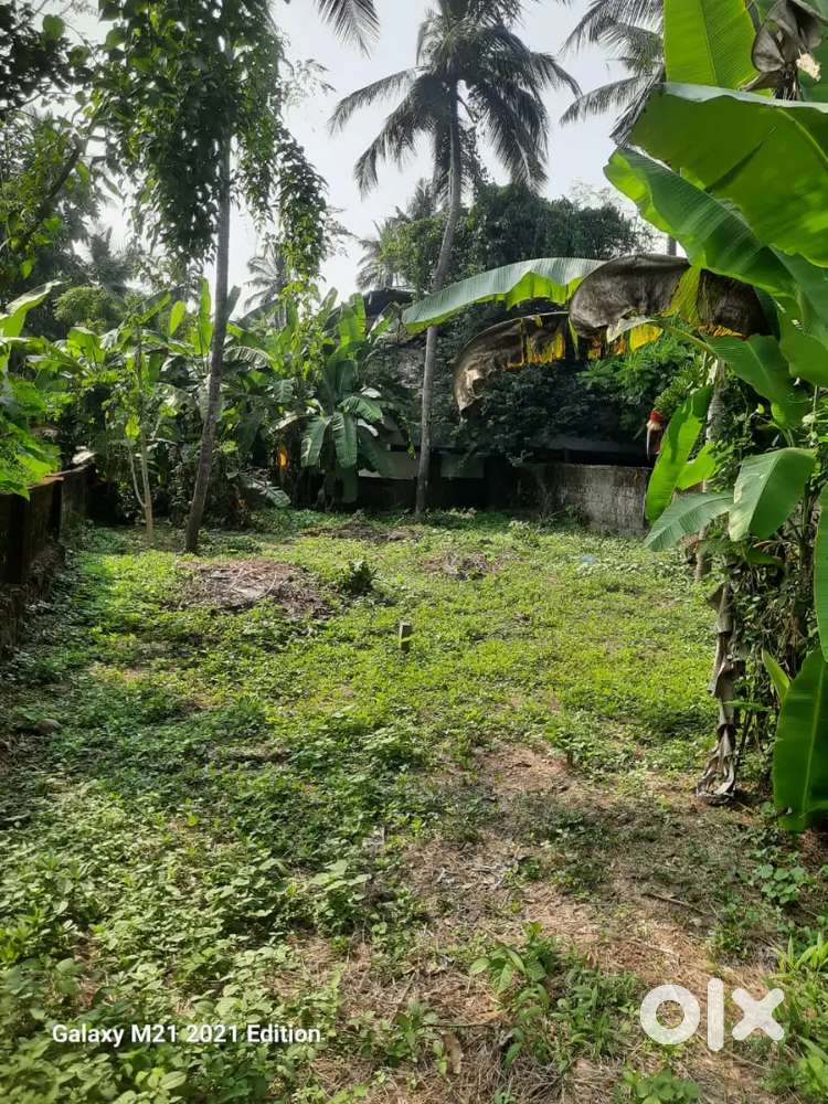 10 cent plot available near Sri Krishna College Guruvayoor