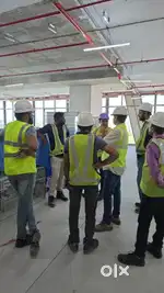 Logistics is reemploying the Fresher
